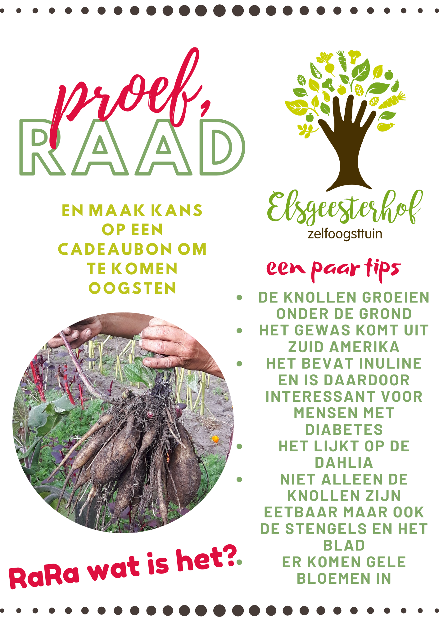 Proef En Raad!
