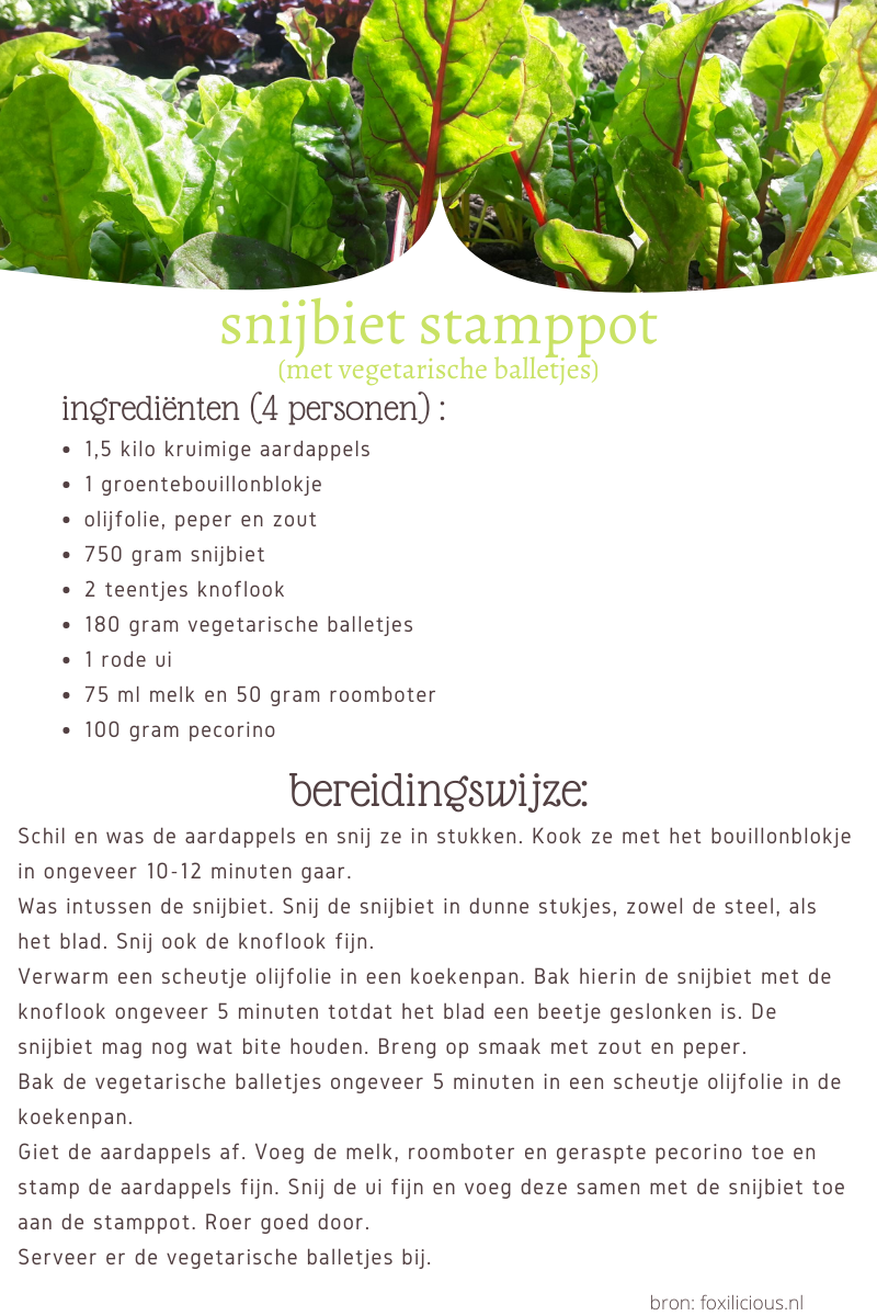 snijbiet stamppot met vegetarische balletjes