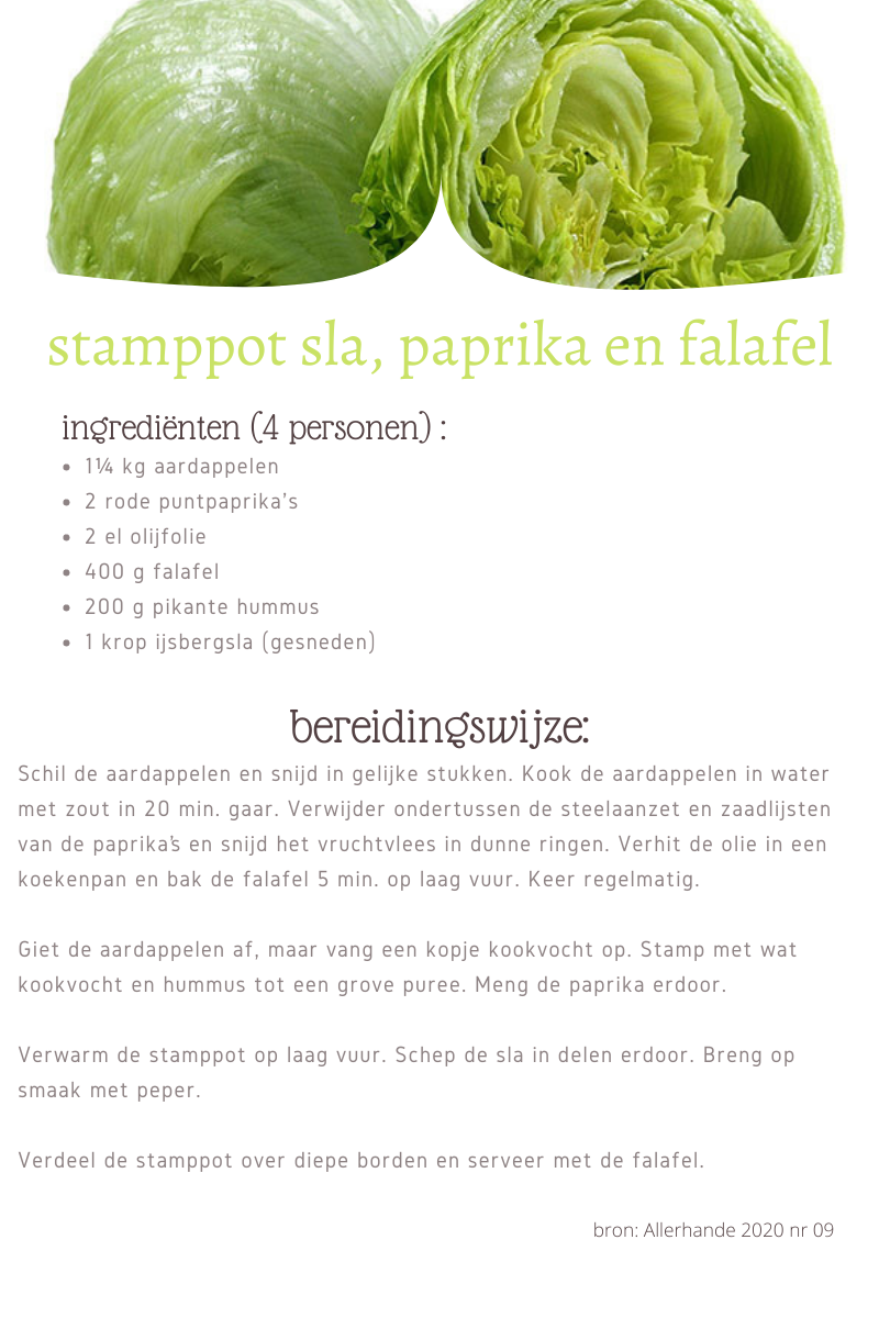 stamppot sla, paprika en falafel